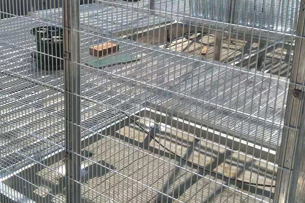 鴿舍地網